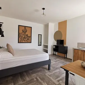https://estudios-en-playa-del-carmen-by-boheme-urban.quintano-roohotels.com
